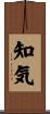 知気 Scroll