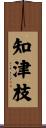 知津枝 Scroll