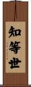 知等世 Scroll