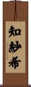知紗希 Scroll