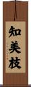 知美枝 Scroll