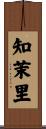 知茉里 Scroll