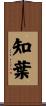 知葉 Scroll
