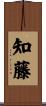 知藤 Scroll