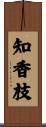 知香枝 Scroll