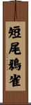 短尾鴉雀 Scroll