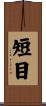短目 Scroll