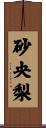 砂央梨 Scroll