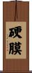 硬膜 Scroll