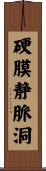 硬膜静脈洞 Scroll