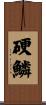 硬鱗 Scroll