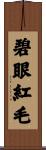 碧眼紅毛 Scroll