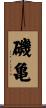 磯亀 Scroll