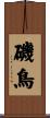 磯鳥 Scroll