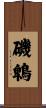 磯鵯 Scroll