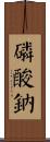 磷酸鈉 Scroll