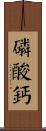 磷酸鈣 Scroll