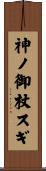 神ノ御杖スギ Scroll
