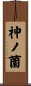 神ノ薗 Scroll