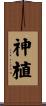 神植 Scroll
