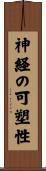 神経の可塑性 Scroll