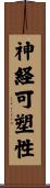 神経可塑性 Scroll