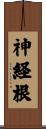 神経根 Scroll