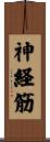 神経筋 Scroll