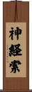 神経索 Scroll