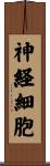 神経細胞 Scroll
