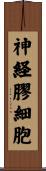 神経膠細胞 Scroll
