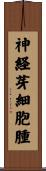 神経芽細胞腫 Scroll