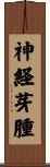 神経芽腫 Scroll