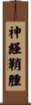 神経鞘腫 Scroll