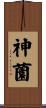 神薗 Scroll