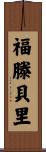 Fortenberry Scroll
