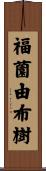 福薗由布樹 Scroll
