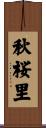秋桜里 Scroll