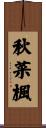 秋菜楓 Scroll