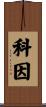 Coyne Scroll