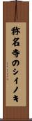 称名寺のシイノキ Scroll