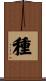 種 Scroll