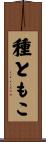 種ともこ Scroll