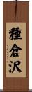 種倉沢 Scroll
