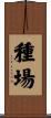 種場 Scroll