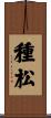 種松 Scroll