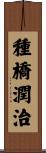 種橋潤治 Scroll