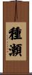 種瀬 Scroll