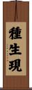 種生現 Scroll