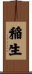 稲生 Scroll